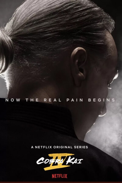 Cobra-Kai-Season-4-poster